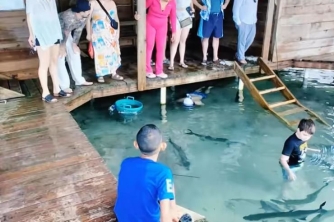 Roatan East End Tour – Saint Helene & Mangroves